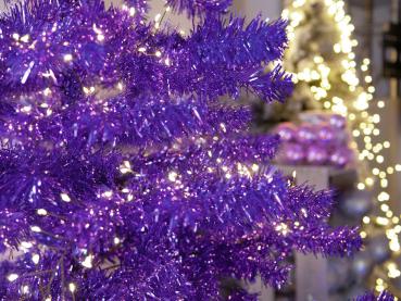 EUROPALMS Tannenbaum, lila, 240cm