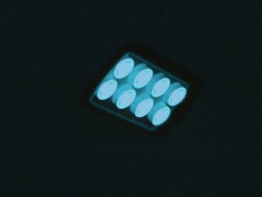 EUROLITE LED IP FL-8 blau 60°