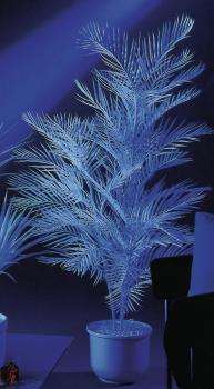 EUROPALMS Kentiapalme, künstlich,   uv-weiß, 90cm