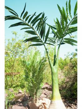 EUROPALMS Phönix Palme, Kunstpflanze, 240cm