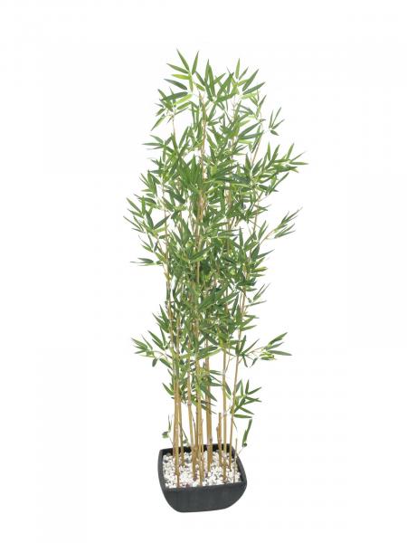 EUROPALMS Zierbambus in Dekoschale, künstlich, 150cm