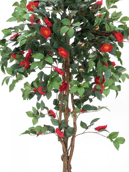 EUROPALMS Kamelienbaum rot mit Topf, Kunstpflanze, 180cm