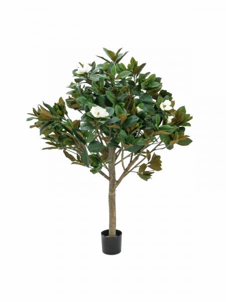 EUROPALMS Magnolienbaum, Kunstpflanze, 150cm