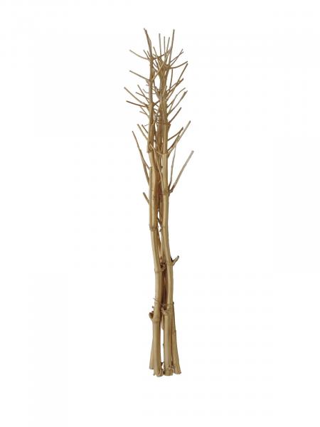 EUROPALMS Fenchelbund, getrocknet, gold, 160cm