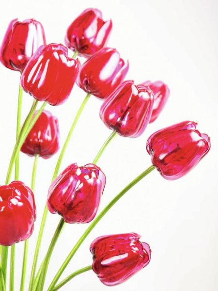 EUROPALMS Kristalltulpe, Kunstblume, rot, 61cm 12x