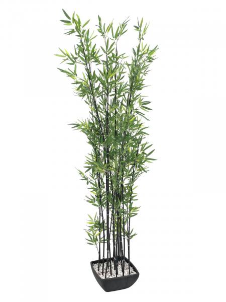 EUROPALMS Zierbambus in Dekoschale, künstlich, 180cm