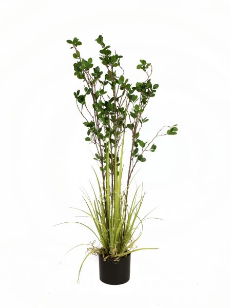 EUROPALMS Immergrünstrauch mit Gras, Kunstpflanze, 120 cm