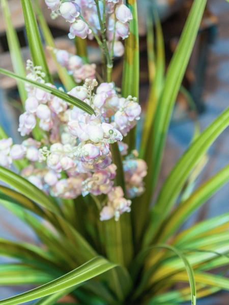 EUROPALMS Glockenblume, Kunstblume, rose, 105cm