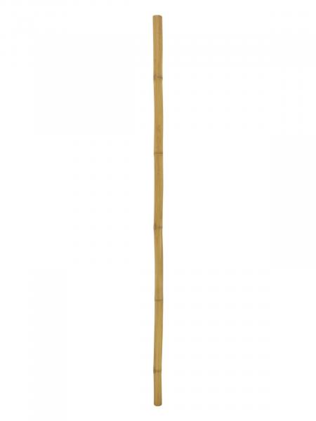 EUROPALMS Bambusrohr, Ø=5cm, 200cm