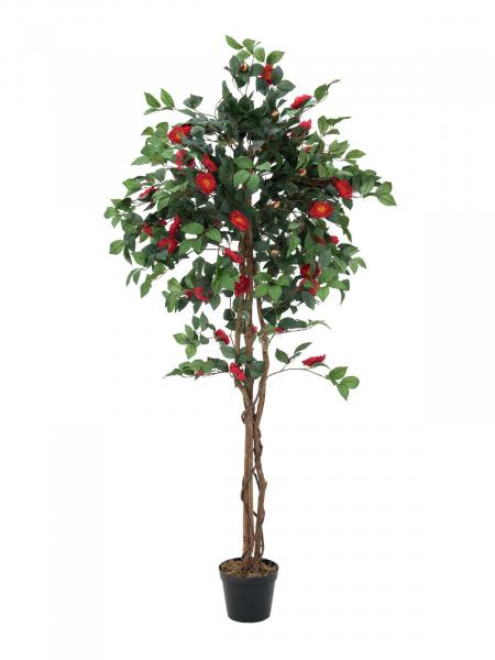 EUROPALMS Kamelienbaum rot mit Topf, Kunstpflanze, 180cm