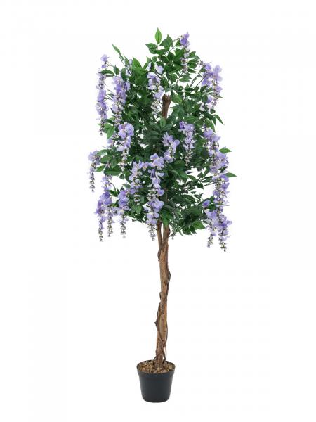 EUROPALMS Goldregenbaum, Kunstpflanze, violett, 150cm