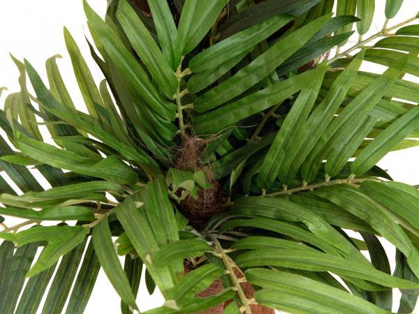 EUROPALMS Areca Palme, Kunstpflanze, 170cm