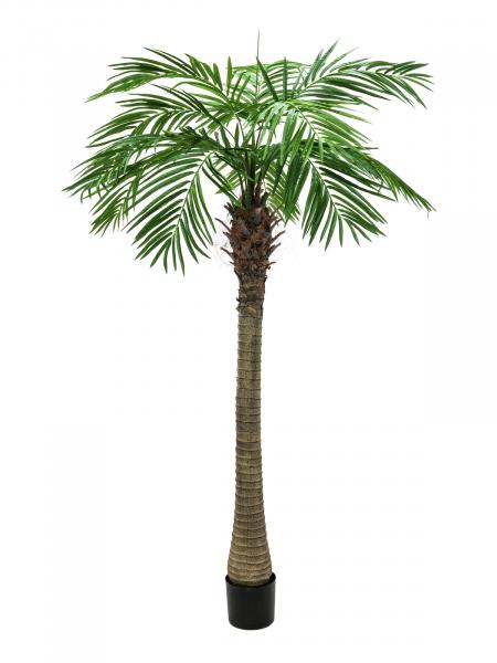 EUROPALMS Phönixpalme luxor, Kunstpflanze, 210cm
