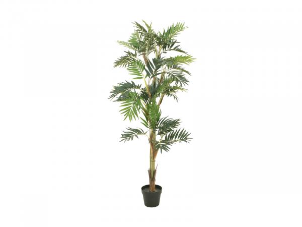 EUROPALMS Parlour Palme, Kunstpflanze, 150cm