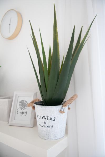 EUROPALMS Aloe-Vera Pflanze, Kunstpflanze, 60cm