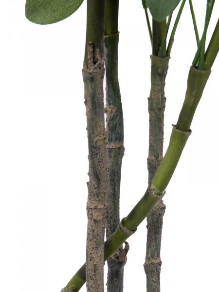 EUROPALMS Schefflera, künstlich, 90cm