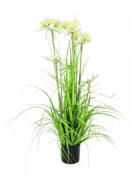 EUROPALMS Sterngras, künstlich, 120cm