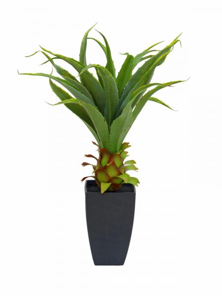 EUROPALMS Agave im Topf, Kunstpflanze, 75cm