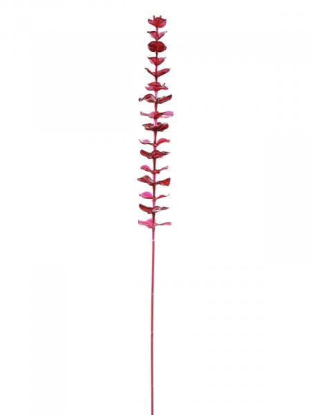 EUROPALMS Kristalleukalyptus, Kunstpflanze, burgund, 81cm 12x