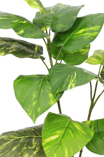 EUROPALMS Pothos, 3-fach, Kunstpflanze, 90cm