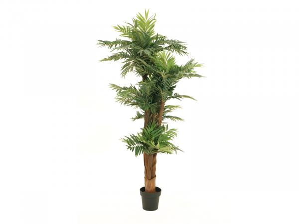 EUROPALMS Areca Palme, Kunstpflanze, 170cm