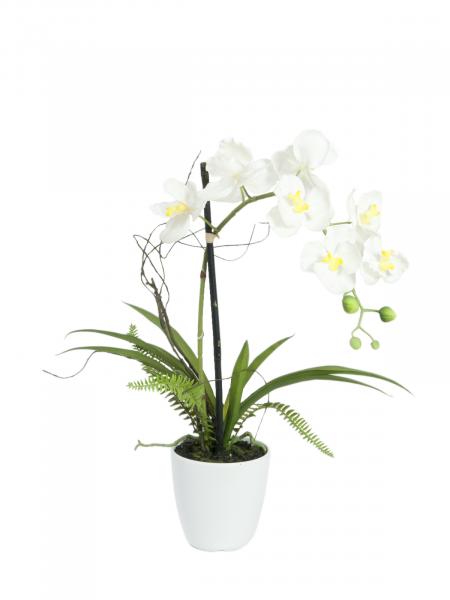 EUROPALMS Orchideen-Arrangement 1, künstlich
