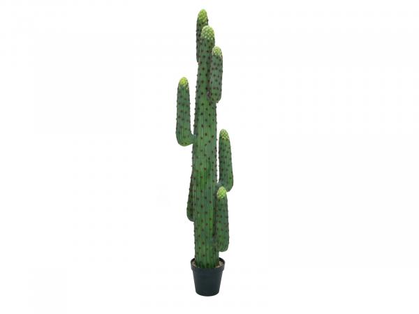 EUROPALMS Mexikanischer Kaktus, Kunstpflanze, grün, 173cm