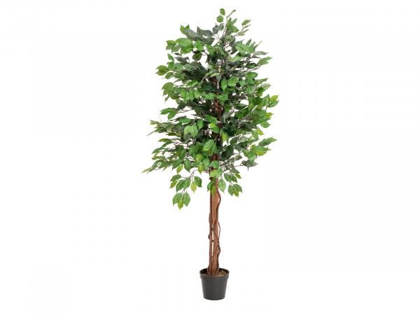 EUROPALMS Ficus-Benjamini Multi-Stamm, Kunstpflanze, 150cm