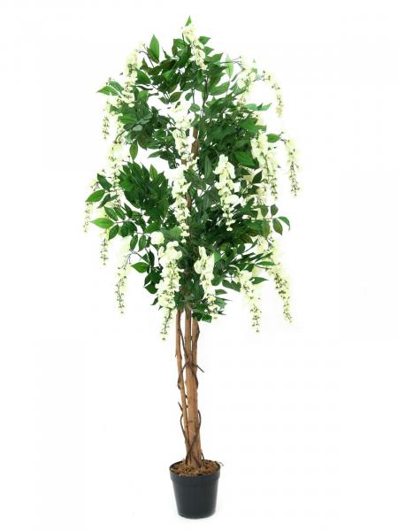 EUROPALMS Goldregenbaum, Kunstpflanze, weiß, 180cm