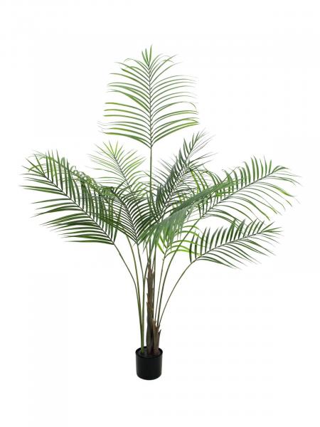 EUROPALMS Großblatt-Areca, Kunstpflanze, 185cm