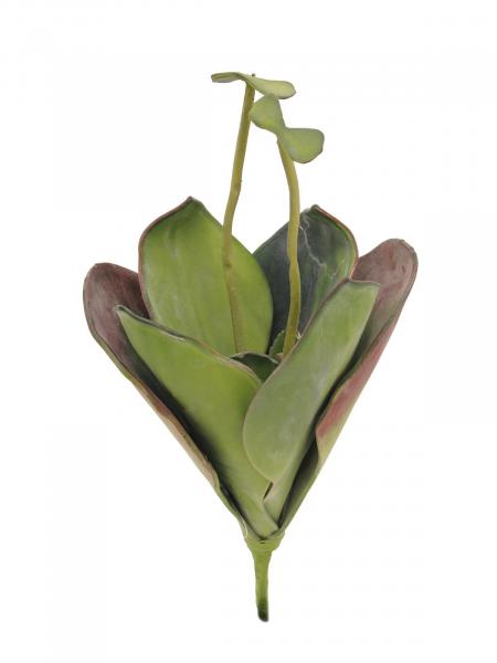 EUROPALMS Seerose (EVA), Kunstpflanze,geschlossen, grün, 45cm