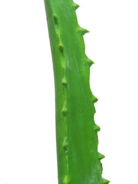 EUROPALMS Aloe-Vera-Pflanze, Kunstpflanze, 63cm