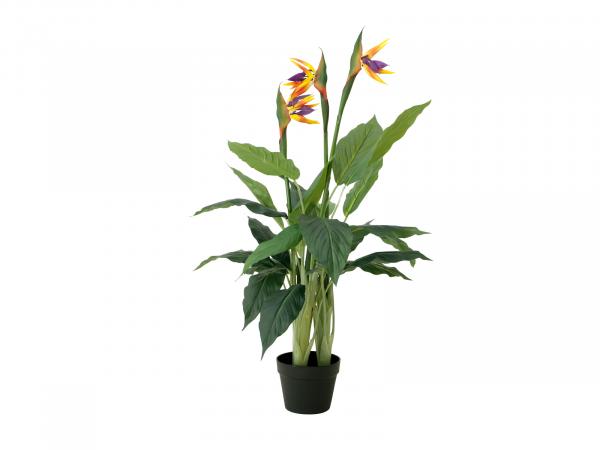 EUROPALMS Strelitzie, Kunstpflanze, 90cm