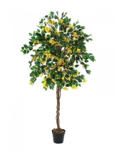 EUROPALMS Bougainvillea, Kunstpflanze, gelb, 180cm
