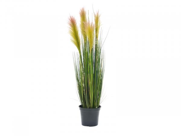 EUROPALMS Federgras, künstlich, rosé, 90cm