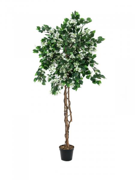 EUROPALMS Bougainvillea, Kunstpflanze, weiß, 180cm