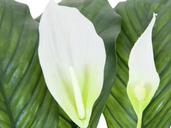 EUROPALMS Spathiphyllum deluxe, künstlich, 83cm