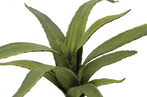 EUROPALMS Aloe (EVA), künstlich, grün, 66cm