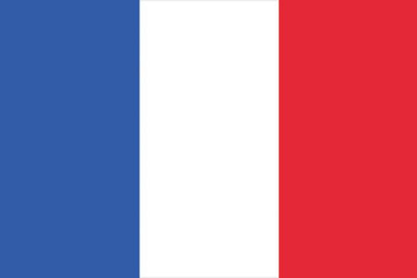 EUROPALMS Flagge, Frankreich, 600x360cm