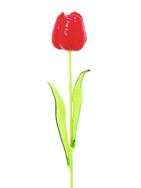 EUROPALMS Kristalltulpe, Kunstblume, rot, 61cm 12x