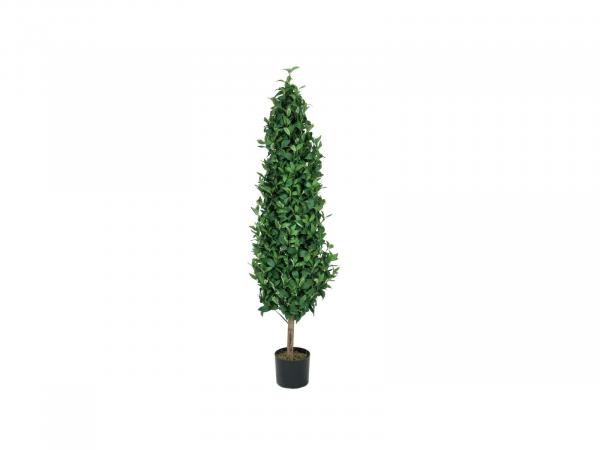 EUROPALMS Lorbeerkegelbaum, Kunstpflanze, 150cm