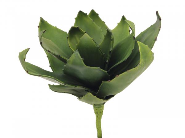 EUROPALMS Agave (EVA), künstlich, grün, 35cm