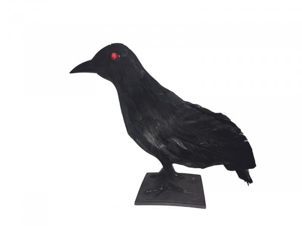 EUROPALMS Halloween Rabe 30x11x23cm