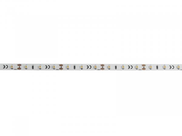 EUROLITE LED Strip 300 5m 3528 5700K 12V