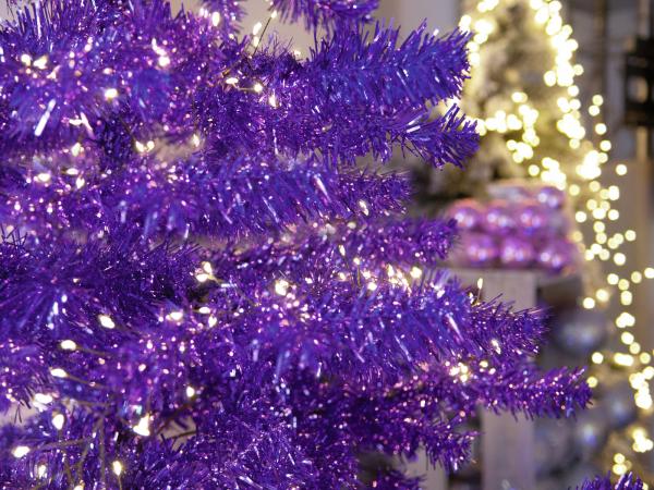 EUROPALMS Tannenbaum, lila, 240cm