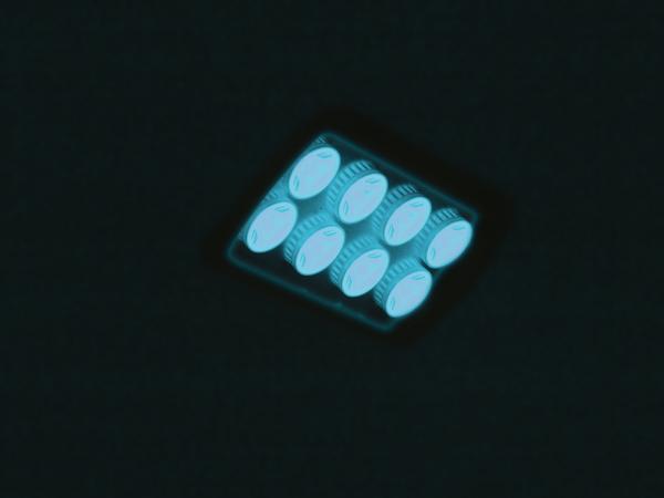 EUROLITE LED IP FL-8 blau 60°