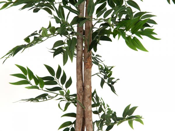 EUROPALMS Ficus Longifolia, Kunstpflanze, 165cm