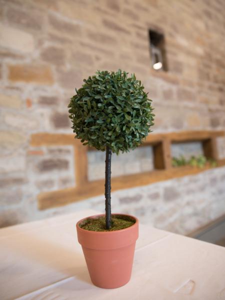 EUROPALMS Graskugelbäumchen, künstlich, PE, 39cm