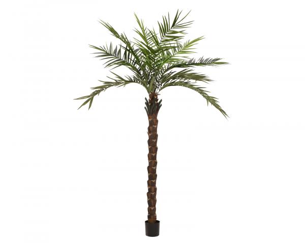 EUROPALMS Kentia Palme deluxe, Kunstpflanze  300cm