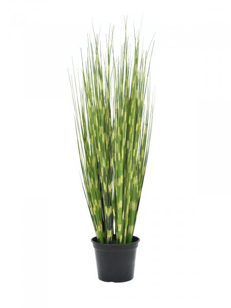 EUROPALMS Zebragras, künstlich, 90cm